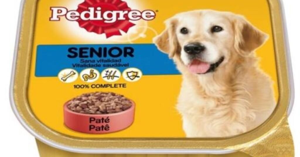 Senior golden retriever eating soft dog food