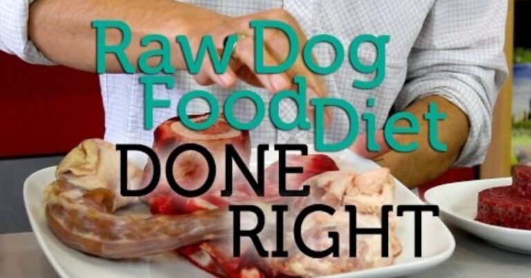 dog food with raw meat