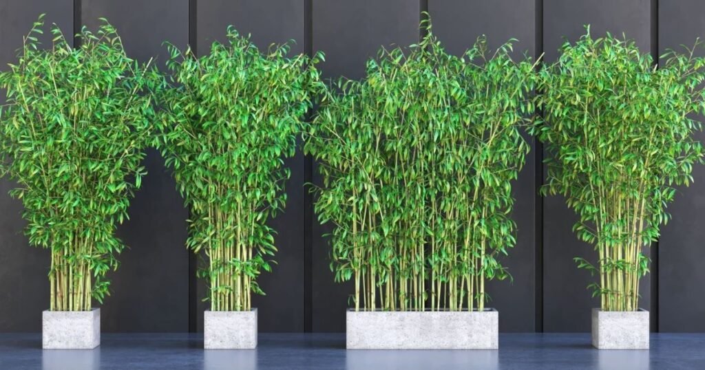 bamboo plant pot for eco-friendly gardening