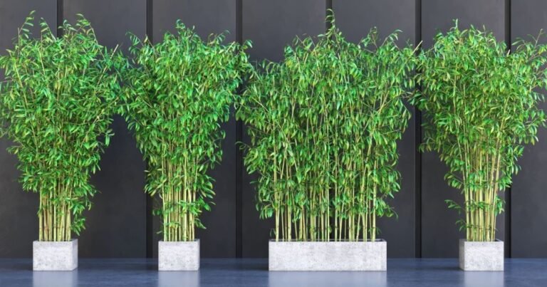 bamboo plant pot for eco-friendly gardening