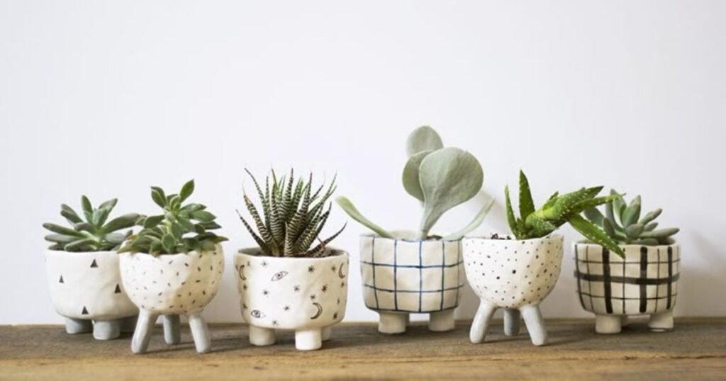 Stylish ceramic pots with plants placed in different home rooms