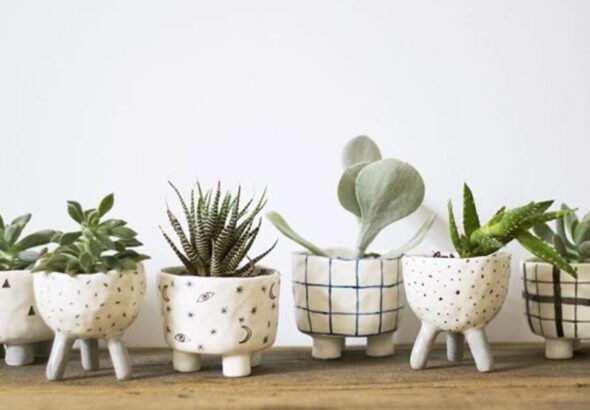 Stylish ceramic pots with plants placed in different home rooms