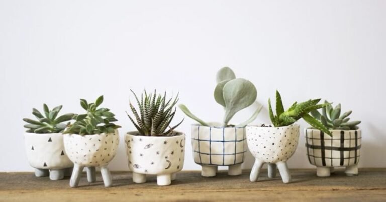 Stylish ceramic pots with plants placed in different home rooms