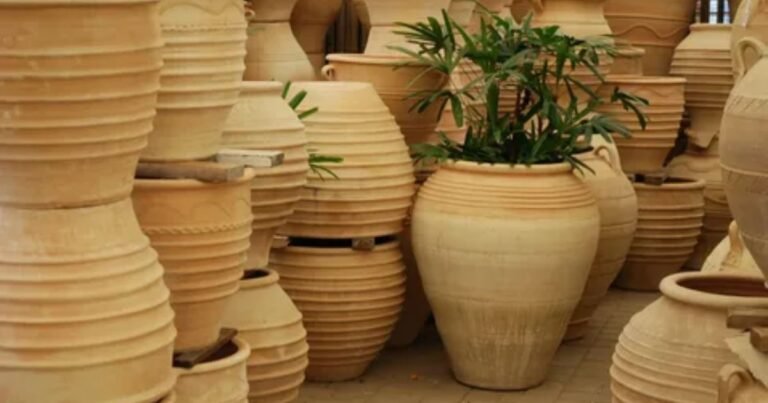 Large terracotta plant pots with healthy green plants on a garden patio.