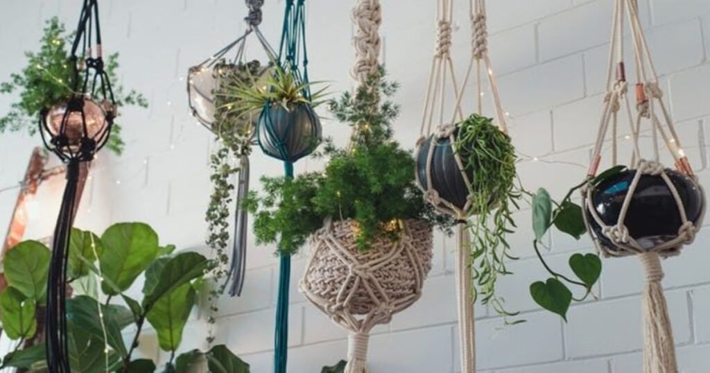 macrame pot plant hangers in boho room decor