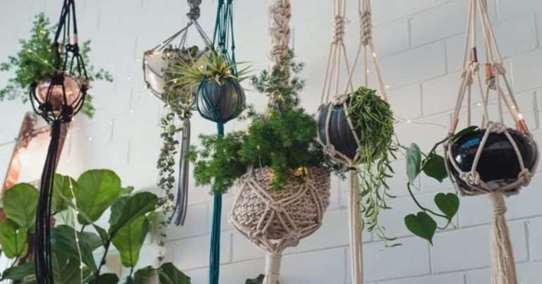 macrame pot plant hangers in boho room decor
