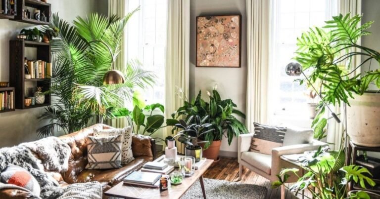 “peaceful indoor plant room with hanging houseplants and natural light”