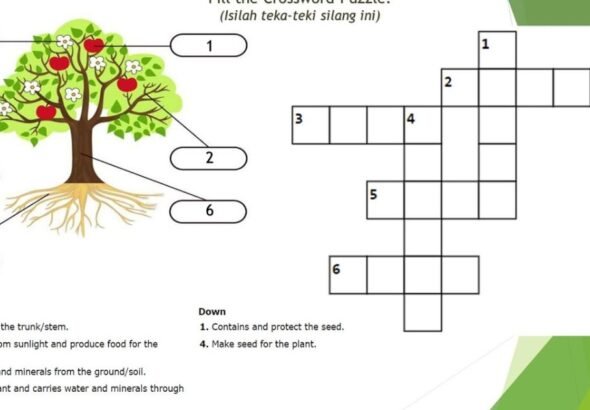 Common plant parts crossword puzzle answer sheet