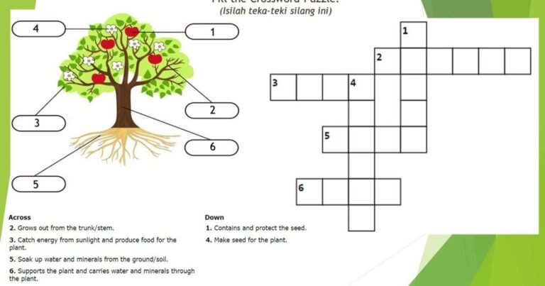 Common plant parts crossword puzzle answer sheet